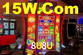 Premium Interface 8U8U